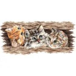 Cross stitch kit "Fluffy trio" SANP-69