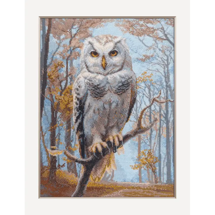 Wildwood Owl 30x40 SRA1016 Wildwood Owl 30x40 SRA1016