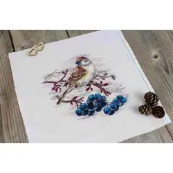 Cross stitch kit "Nimble sparrow" SNV-920