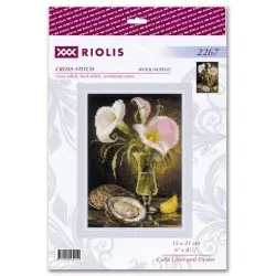 Needlecraft set 15x21 SR2267
