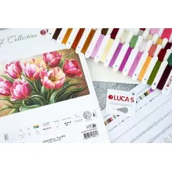 Graceful Tulips 56x32cm SB718