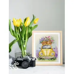 Cross-stitch kits - Adventures of Provence AAH-276