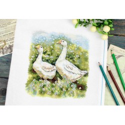Cross stitch kit "Geese on a walk" SNV-970