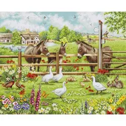 Donkeys' Yard 39x32cm SBU5087