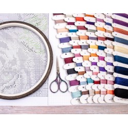 Eyes of the Wild SLETIL9957