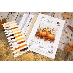 Autumn Pumpkin 19x18cm SB1434