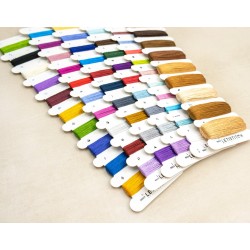 Dragon Studies 38x29cm SLETIL9965