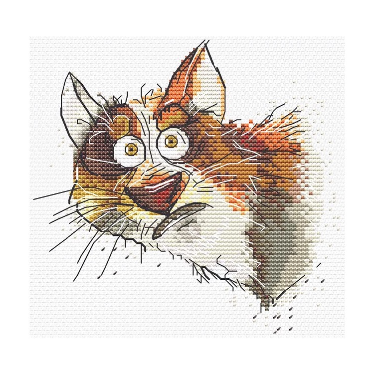 Cross stitch kit "Emotions. Surprise" SANE-08