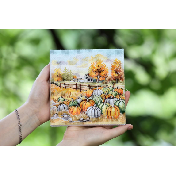 Needlecraft set S/M031