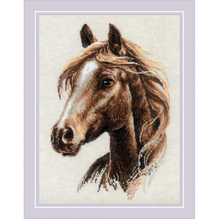 Needlecraft set 30x40 SR2293