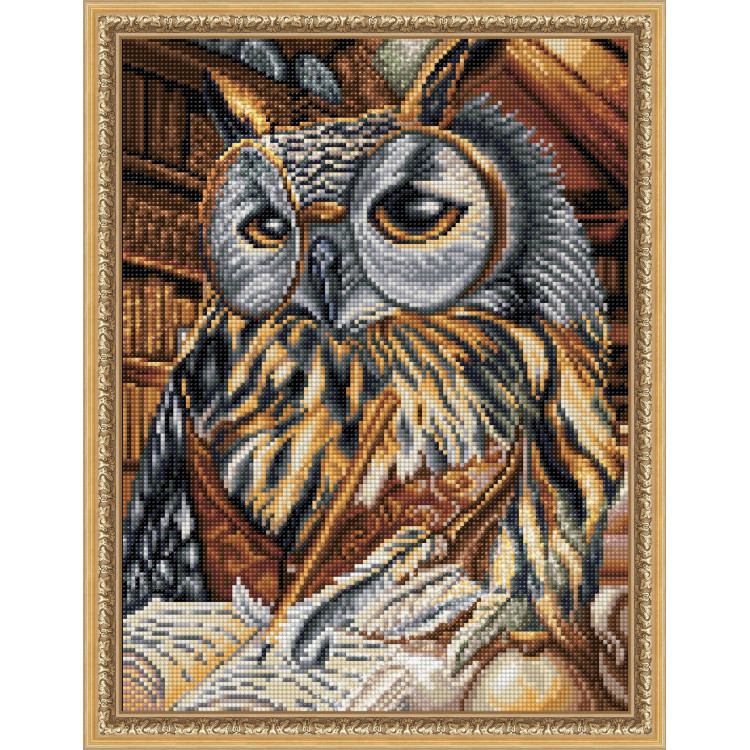Smart Owl 30x40 cm AZ-1737