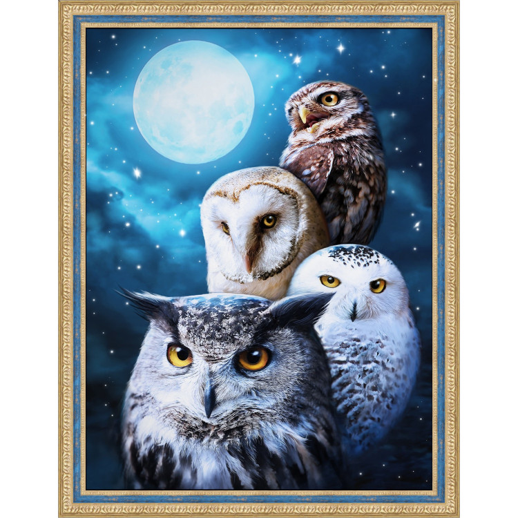 Night Owls AZ-1738