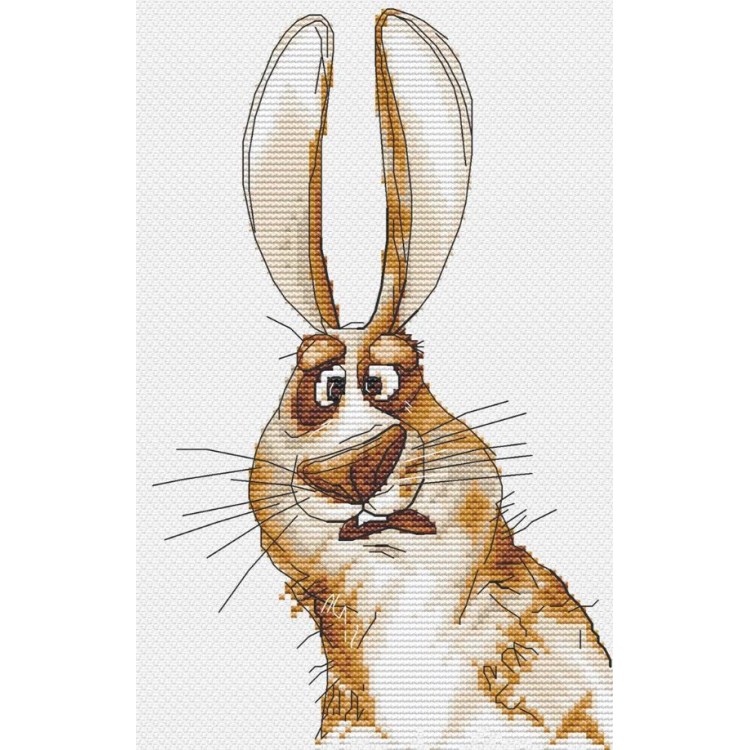 Cross stitch kit "Emotions. Bewilderment." SANE-07