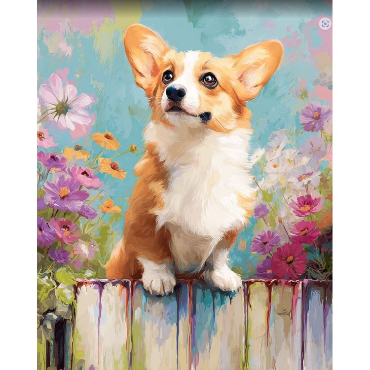 Diamond Painting kit with subframe "Corgi" 30x40 cm VA922