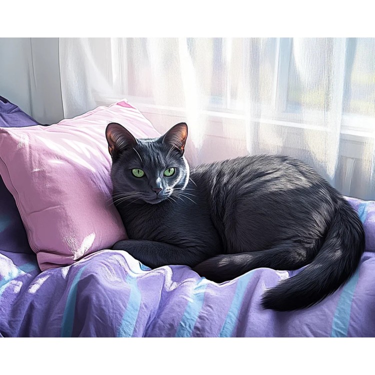 Diamond Painting kit with subframe "Cat" 30x40 cm VA918