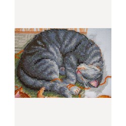 Cats and Threads 20x20 SRA1035