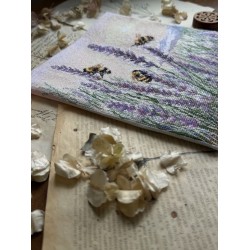 Cross stitch kit "Summer song" SANL-27