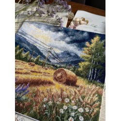 Cross stitch kit "Before the storm" SANP-78