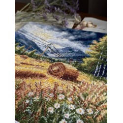 Cross stitch kit "Before the storm" SANP-78