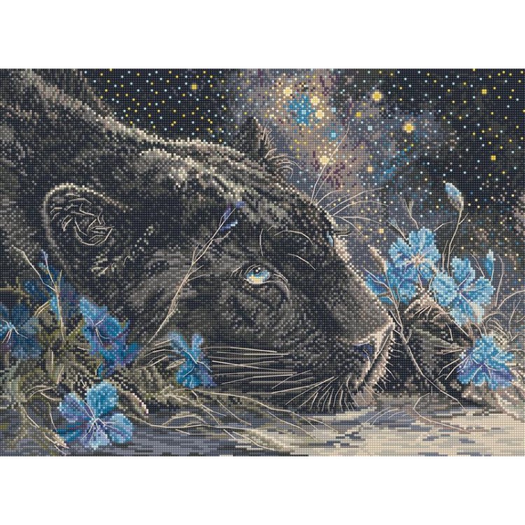 Starry Dreams 37x27cm SLETIL9984