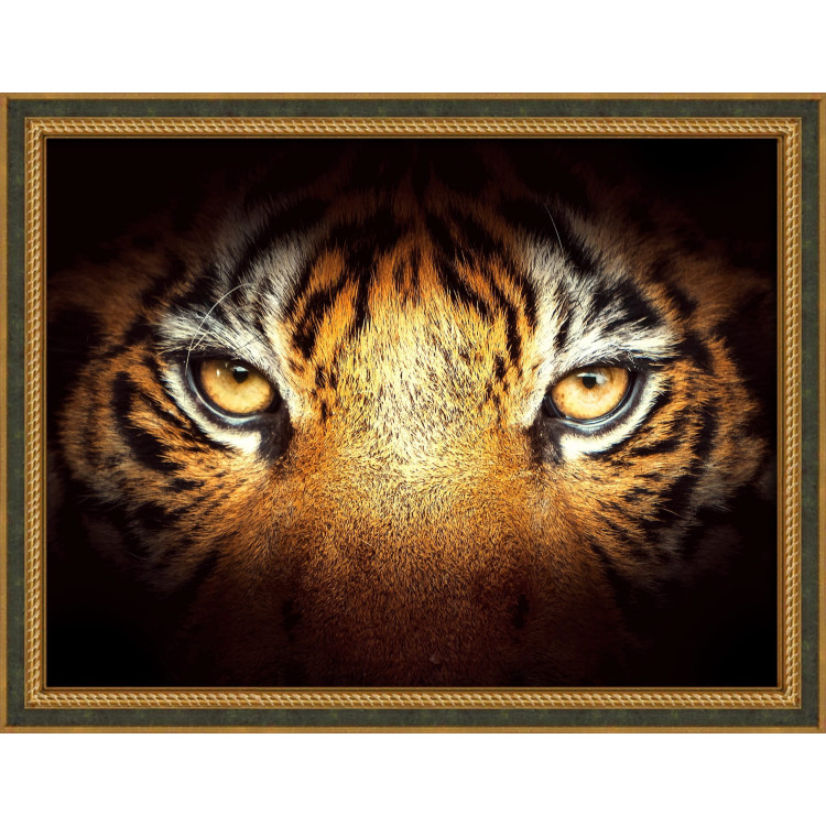 Tiger Look AZ-1827
