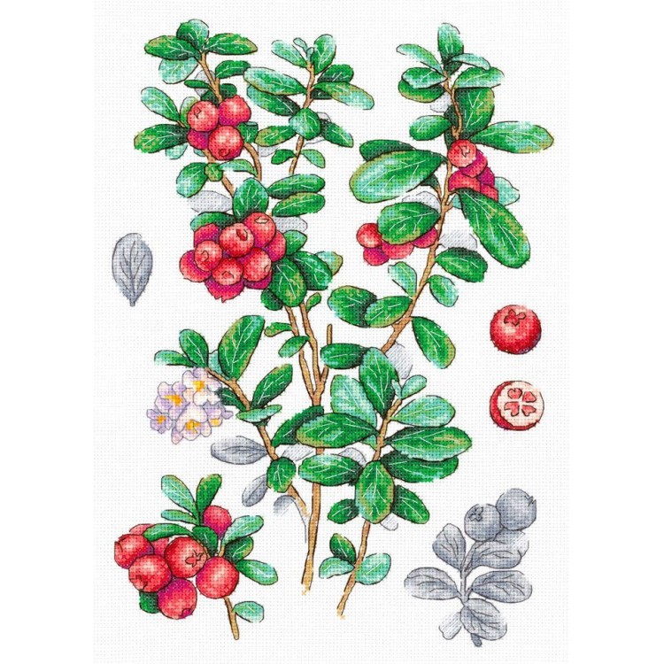 Cross stitch kit "Cowberry" SNV-928