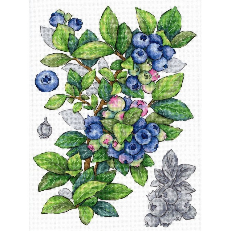 Cross stitch kit "Blueberry" SNV-929
