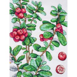 Cross stitch kit "Cowberry" SNV-928