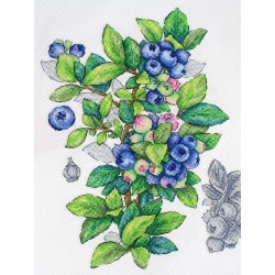 Cross stitch kit "Blueberry" SNV-929
