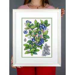 Cross stitch kit "Blueberry" SNV-929