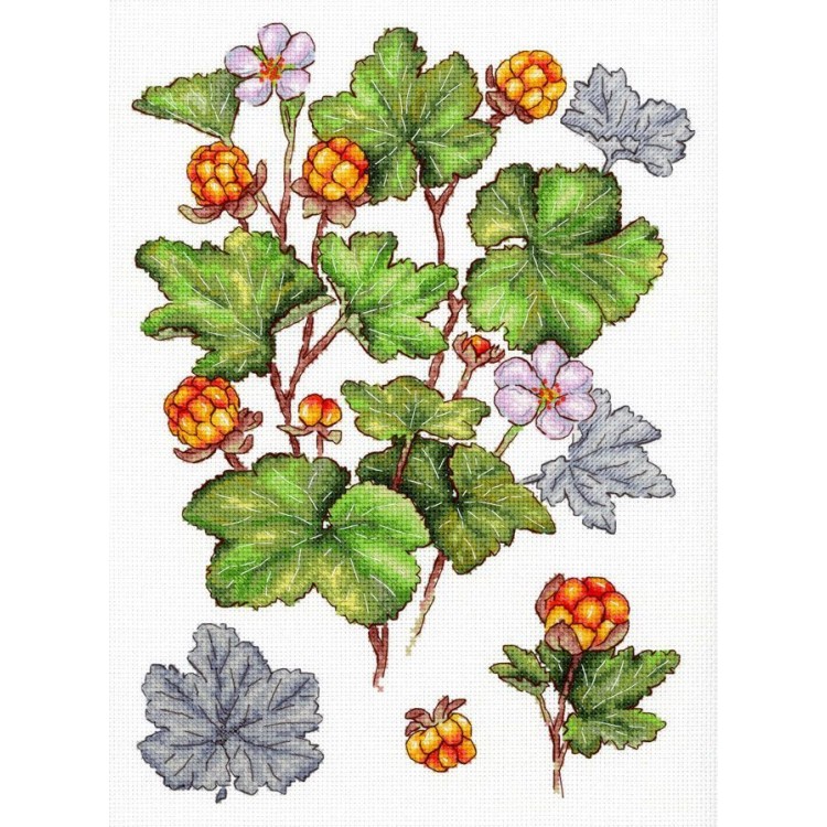 Cross stitch kit "Cloudberry" SNV-930