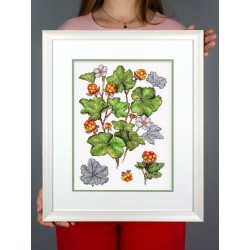 Cross stitch kit "Cloudberry" SNV-930
