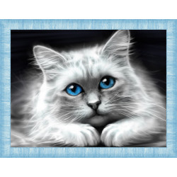 Blue-Eyed Cat AZ-1761