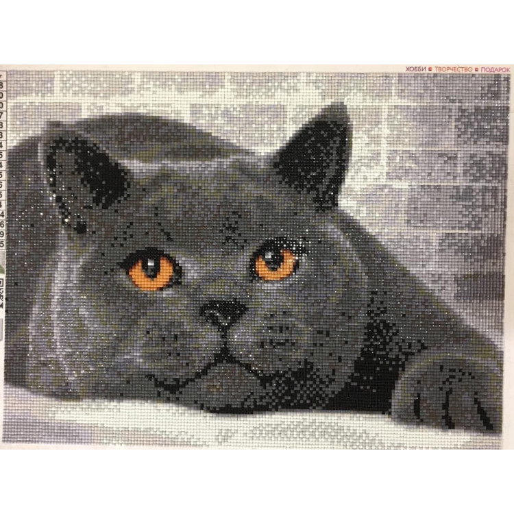 Diamond Painting Kit British Cat AZ-1463