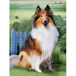 Diamond Painting Kit Collie 30х40 cm AZ-1464