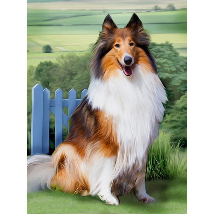 Diamond Painting Kit Collie 30х40 cm AZ-1464