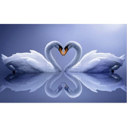 Diamond painting kit Swans AZ-210