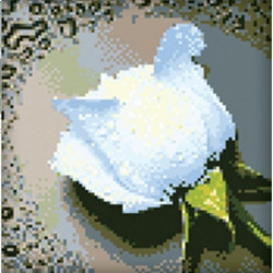 (Снят с производства) Картина стразами "Белая роза"     AZ-24