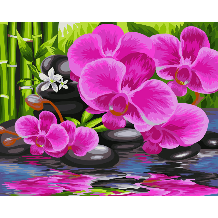 Wizardi Painting by Numbers Kit Oriental Garden 40x50 cm B081