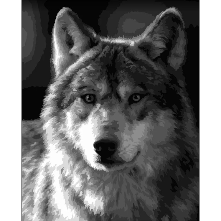 Wizardi painting by number kit. Silver wolf 40x50 cm F015