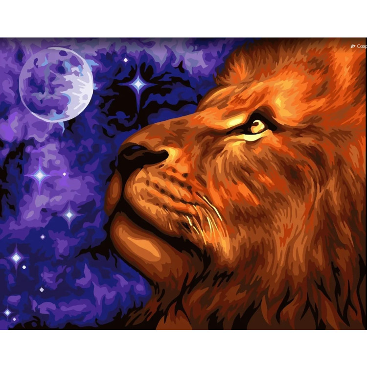 WIZARDI PAINTING BY NUMBER KIT. MOON KINGDOM 40X50 CM H073