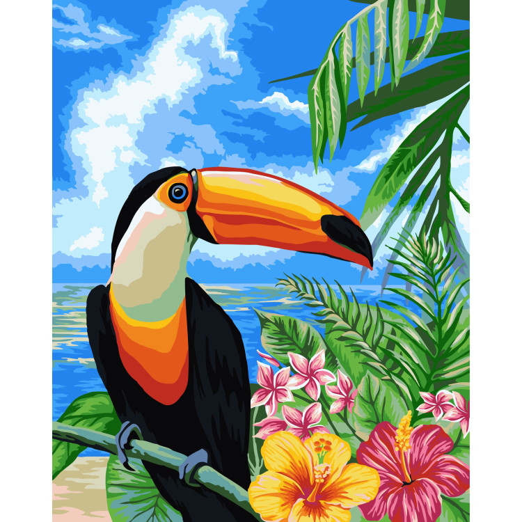 Toucan 40x50 cm H080