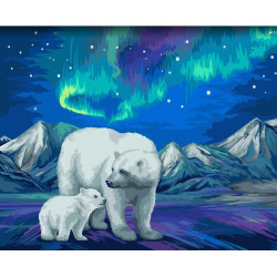 Wizardi painting by number kit. Aurora Borealis 40x50 cm H095