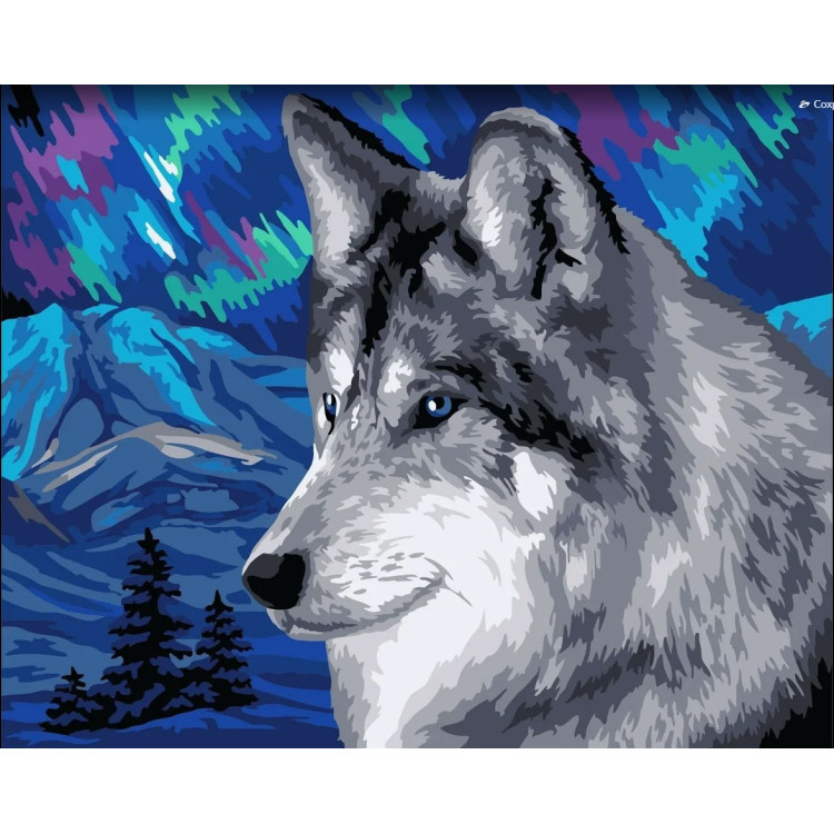 WIZARDI PAINTING BY NUMBER KIT. POLAR WOLF 40X50 CM H150