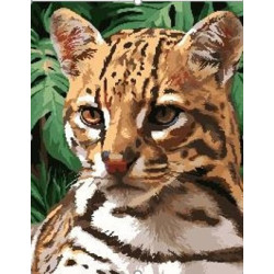 WIZARDI PAINTING BY NUMBER KIT. OCELOT 40X50 CM H152