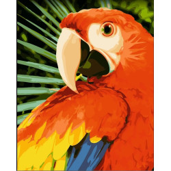 MACAW 40X50 CM H154