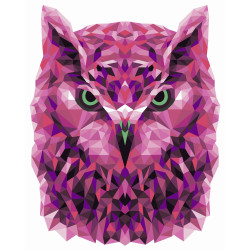 Painting by numbers kit. P002 Owl (polygon style) 40*50