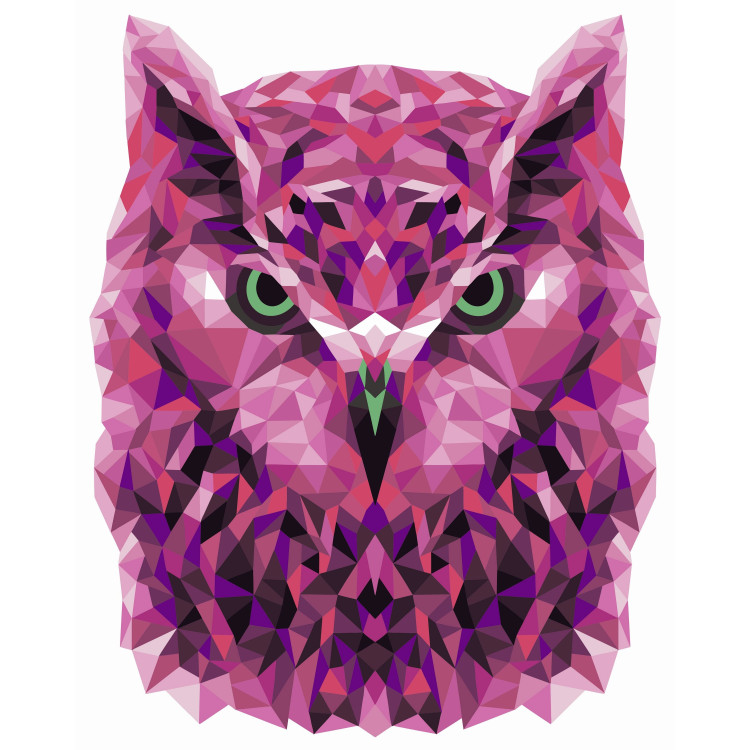 Painting by numbers kit. P002 Owl (polygon style) 40*50