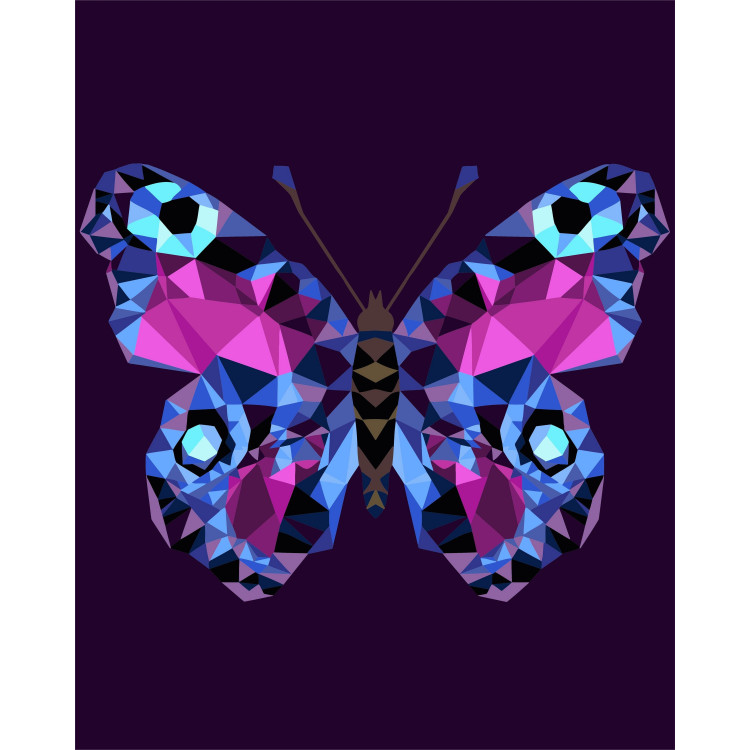 Painting by numbers kit. P003 Butterfly (polygon style) 40*50